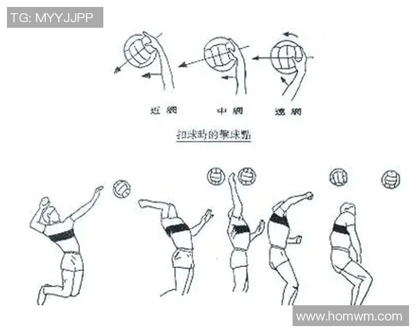 排球盛宴：深入解析南京排球队的战术布局与训练秘诀