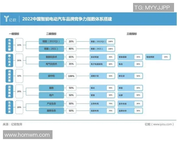 深度分析上海足球队的运营策略与发展模式探讨