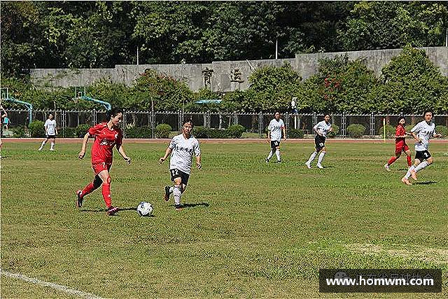 解读bevictor伟德